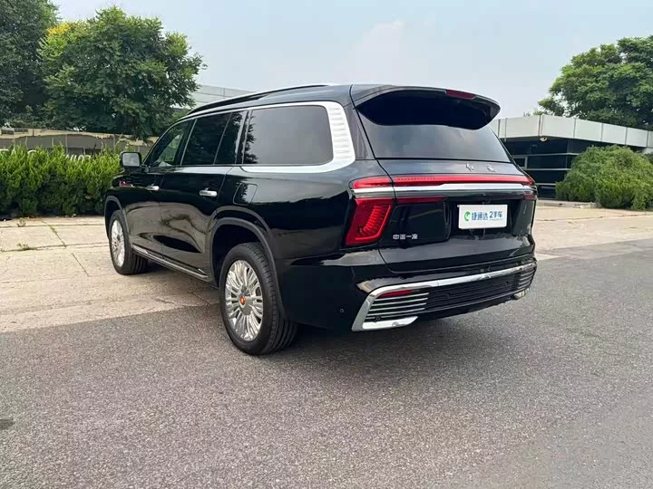 Hongqi Golden Sunflower National Glory