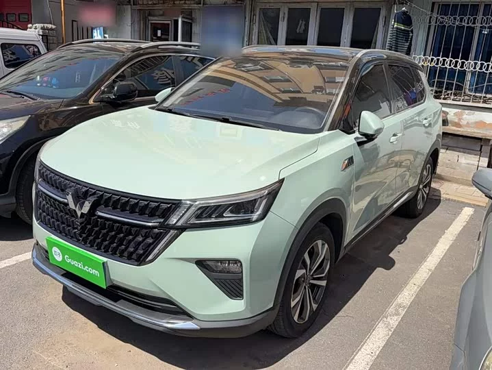Wuling Star