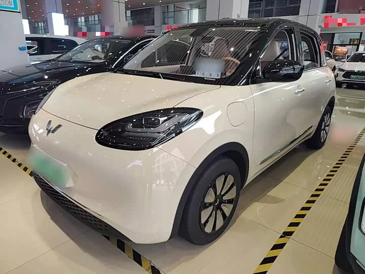 Wuling Bingo