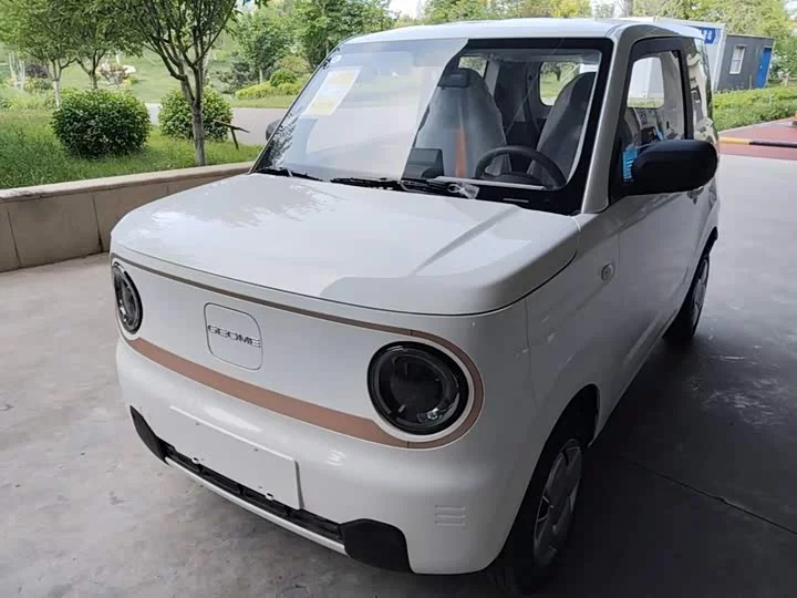 Geely panda