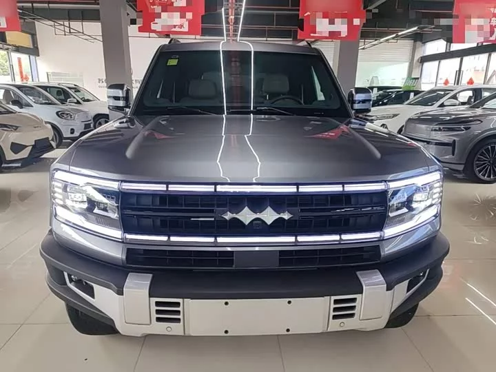 BYD Leopard Leopard 5
