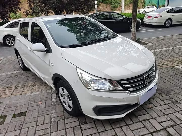 Baojun 310