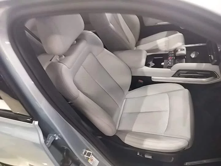 BYD Leopard Titanium 3