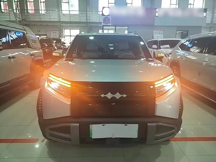 BYD Leopard Titanium 3