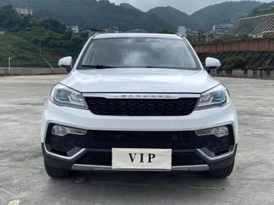 Leopaard Cheetah CS9