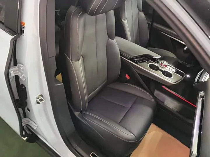 Cadillac IQ Ruige