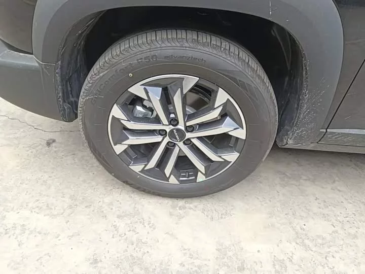 Haval Big Dog DaGou