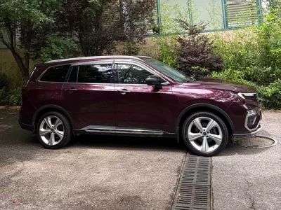 Ford Lingyu