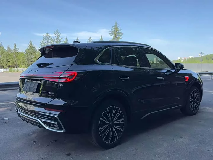 Hongqi HS5