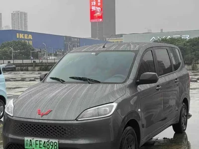 Wuling Hongguang New Energy