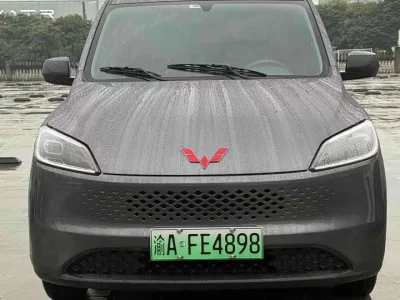 Wuling Hongguang New Energy