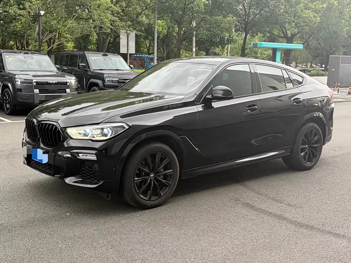 BMW X6