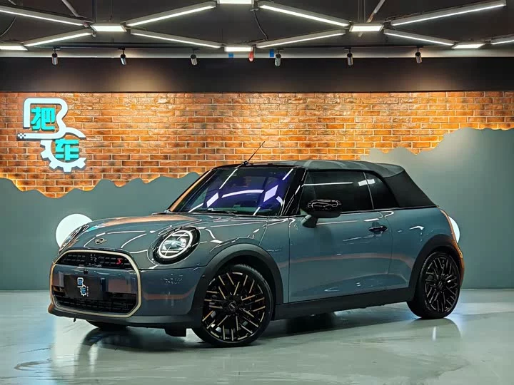 MINI 