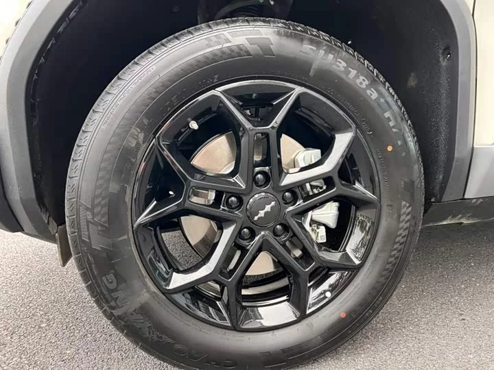 BYD Leopard Titanium 3