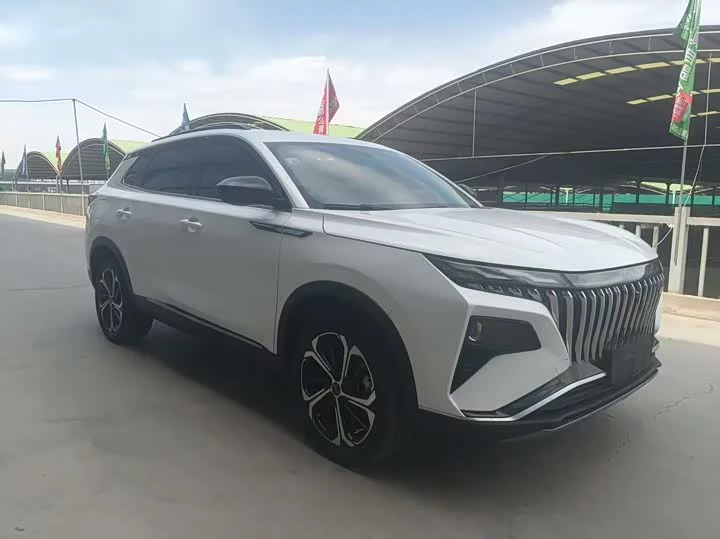 Dongfeng Haoji