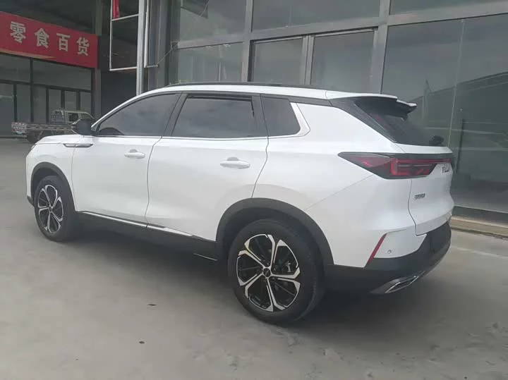 Dongfeng Haoji