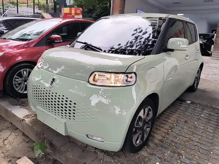 ORA White cat