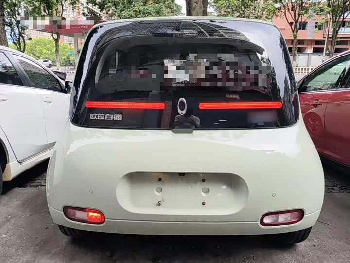 ORA White cat