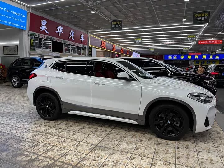 BMW X2