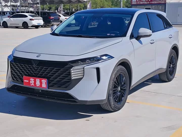 Kai Chen Big V