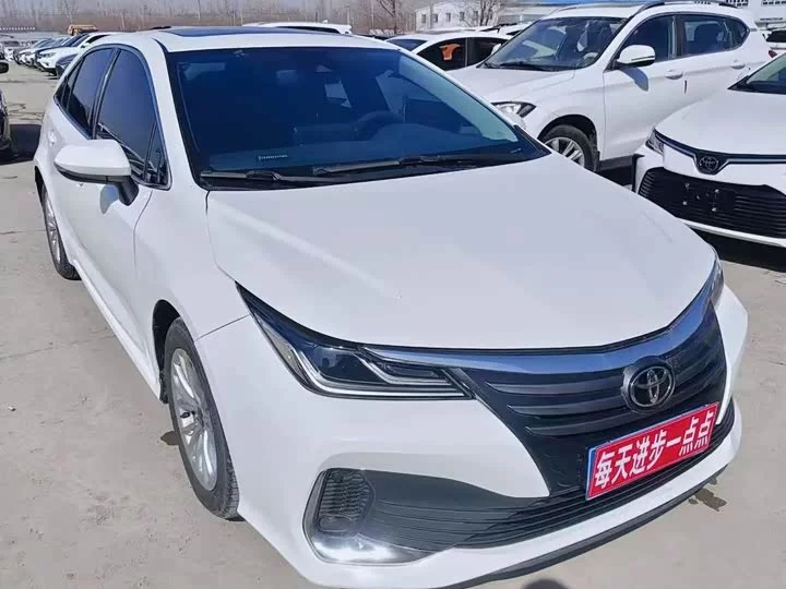 Toyota Asiatic lion