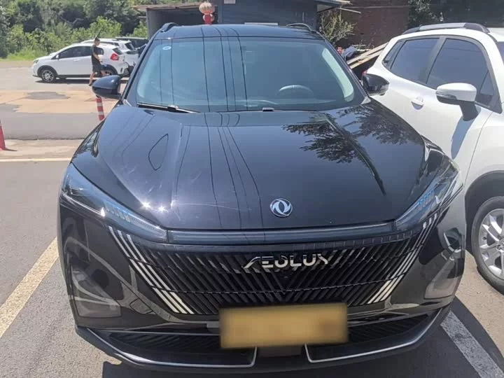 Dongfeng Haohan