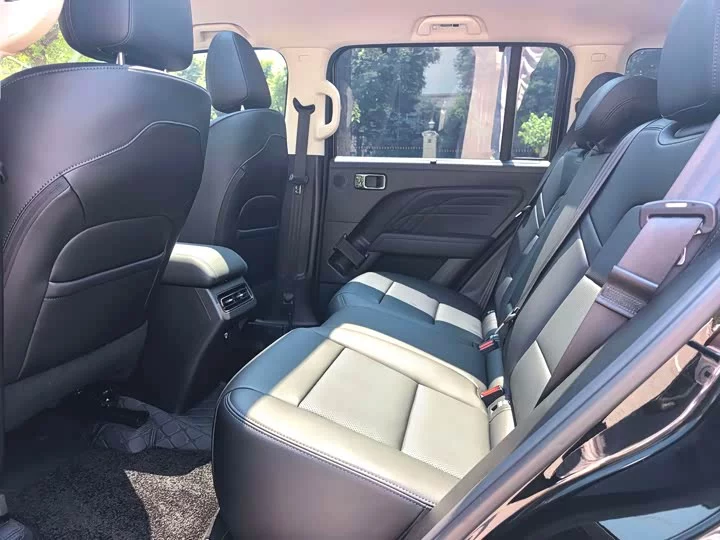 Haval Raptors Fuel