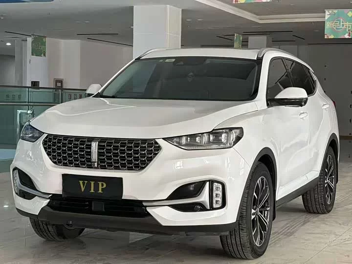 Wey VV6