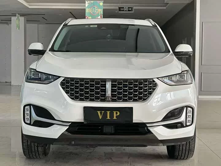 Wey VV6