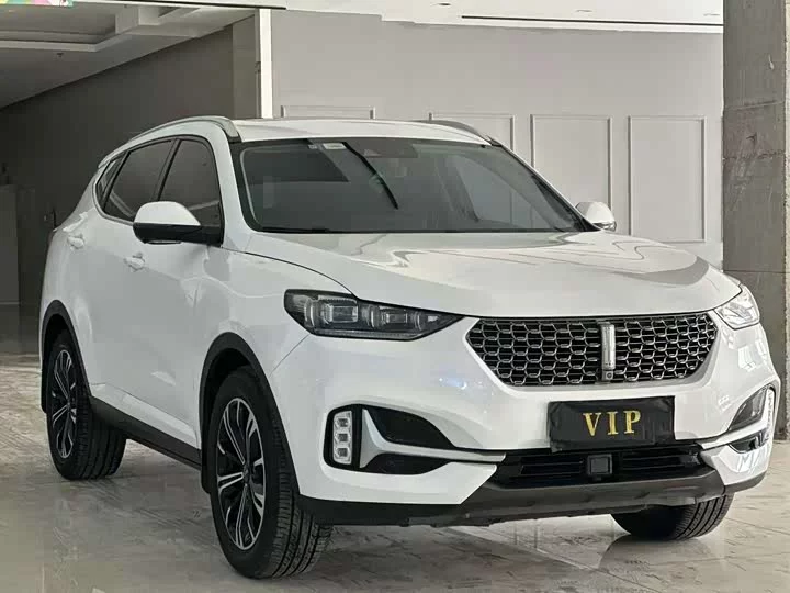 Wey VV6