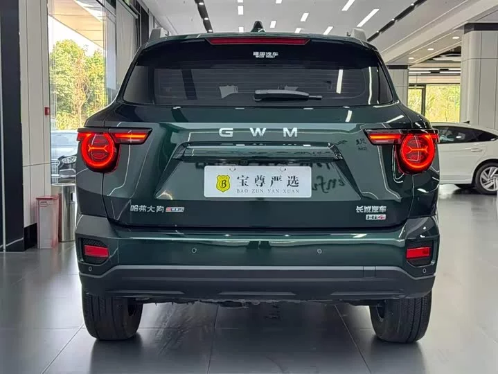 Haval Big Dog PLUS New Energy