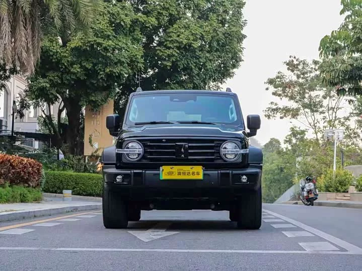 tank 300 New Energy