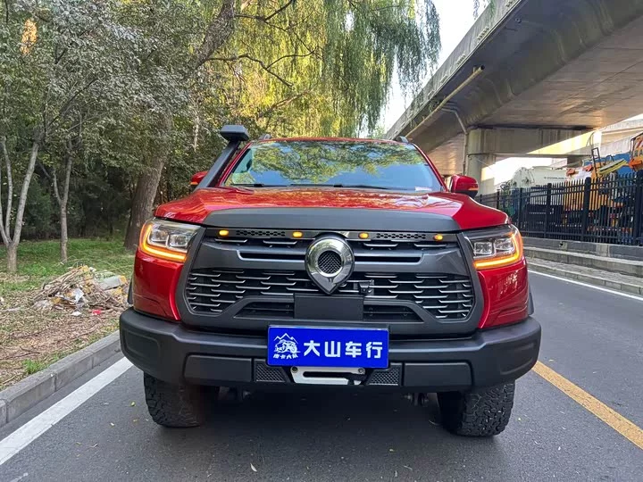 Great Wall gun
