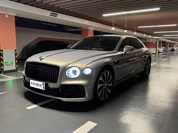 Bentley galloping