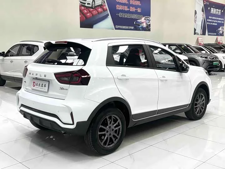 Ruilan X3 PRO