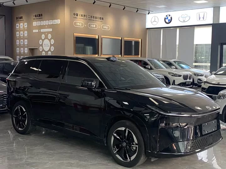Toyota Bozhi 3X