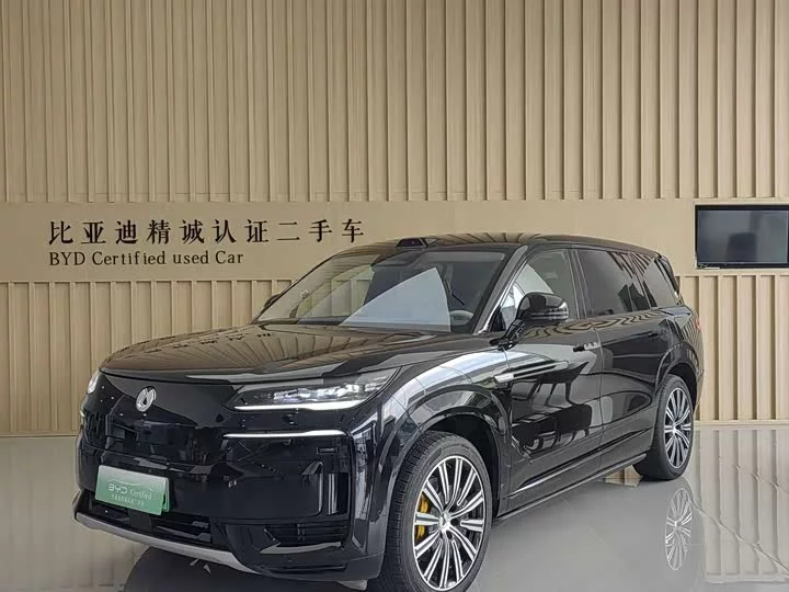 Denza N9