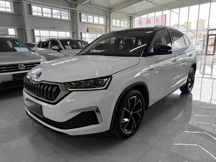 Skoda Comek