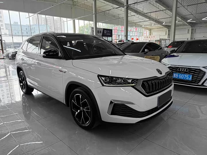 Skoda Comek