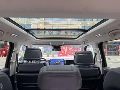 BYD Leopard Leopard 5