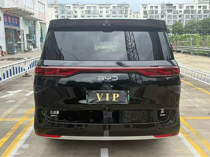 BYD summer
