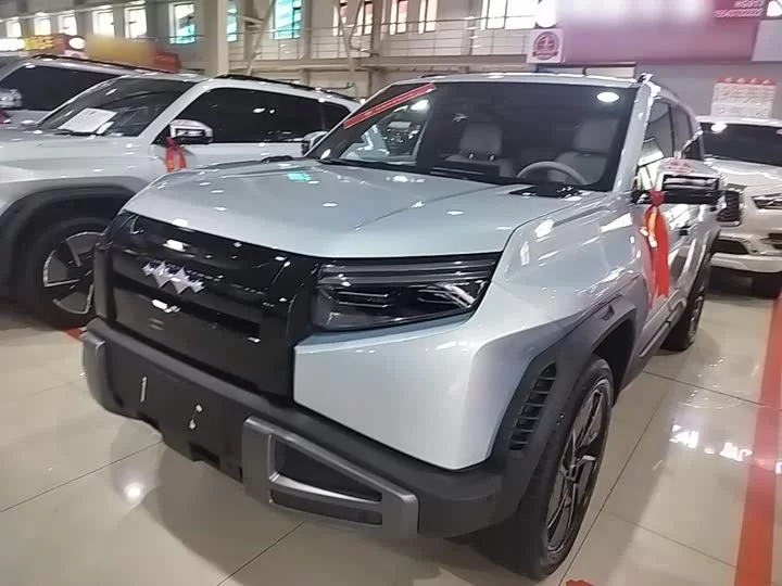 BYD Leopard Titanium 3