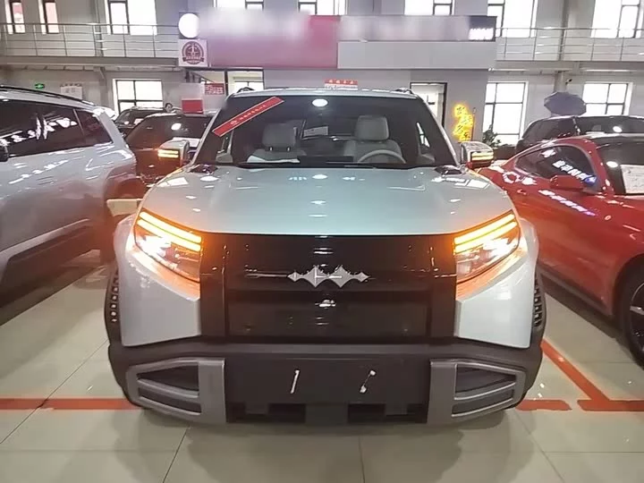 BYD Leopard Titanium 3