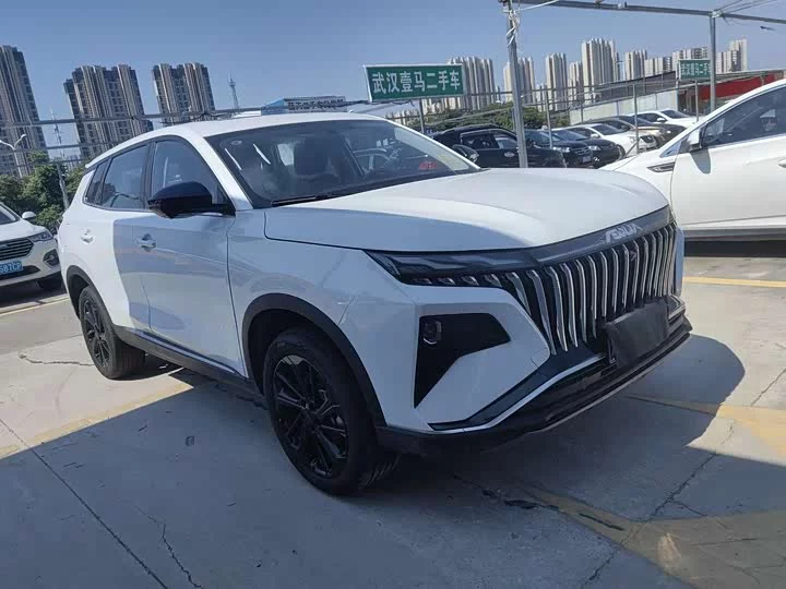Dongfeng Haoji