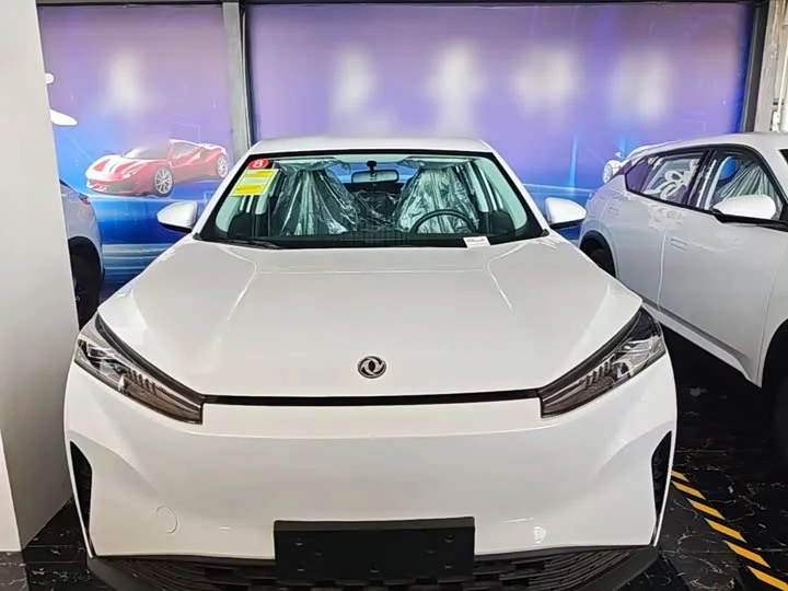 Dongfeng SKY EV01