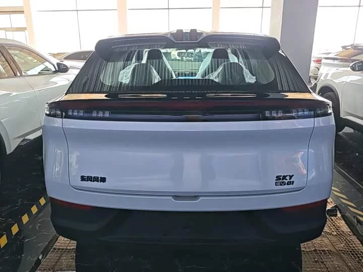 Dongfeng SKY EV01
