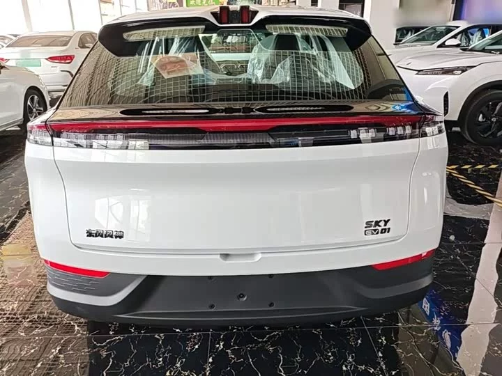 Dongfeng SKY EV01