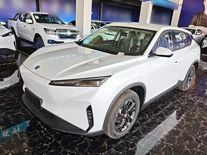 Dongfeng SKY EV01