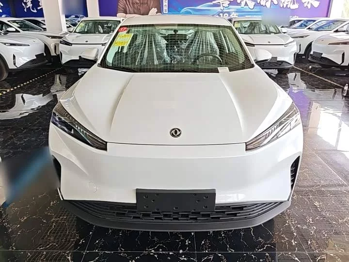 Dongfeng SKY EV01
