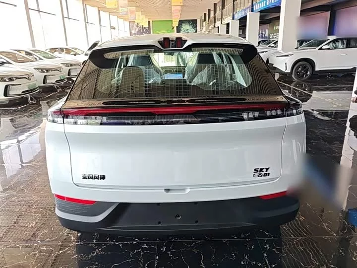 Dongfeng SKY EV01